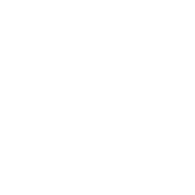 Play icon